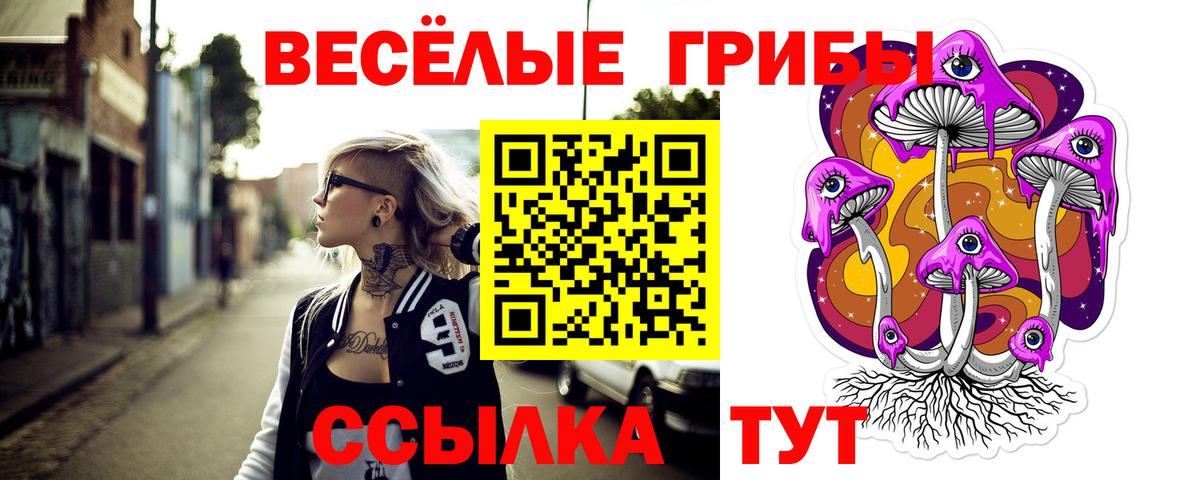 Галлюциногенные грибы GOLDEN TEACHER  Псилоцибиновые грибы Psilocybine cubensis  Вход с VPN  Аксай 